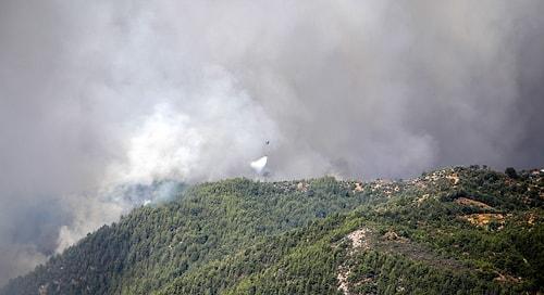 Orman Yangınları 3 İlde Sürüyor: 'Gündoğmuş Yanarsa Batı Toroslar Yanar'