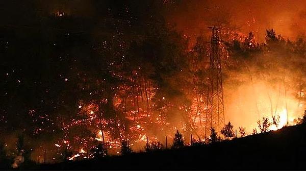 Bildiğiniz üzere ülkemizde günlerdir süren ve bir türlü kontrol altına alınamayan orman yangınları var.