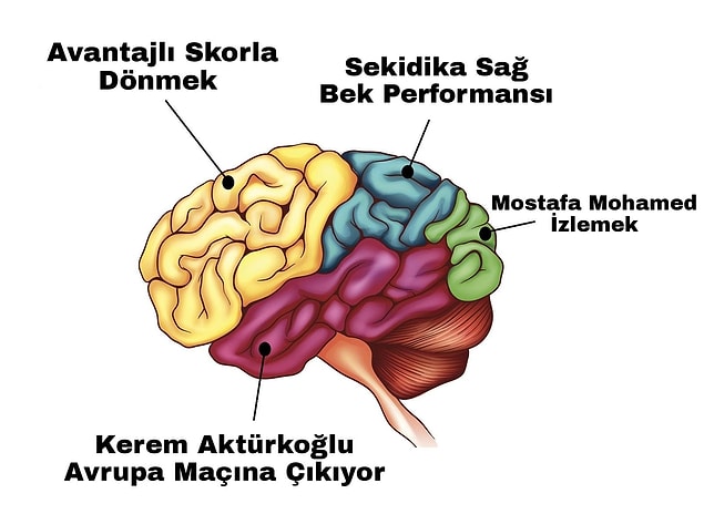 13.