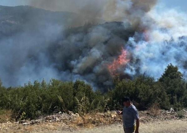 17:04 Aydın'da orman yangını başladı
