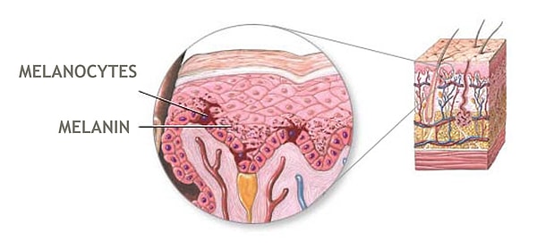 Melanin pigmenti