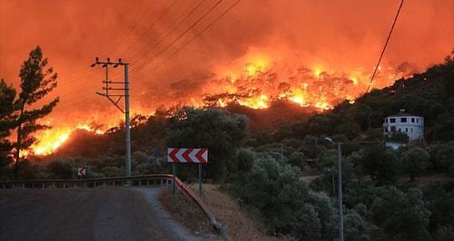 Orman Yangınları Neden Artıyor, Hangi Yıkıcı Sonuçları Beraberinde Getiriyor?