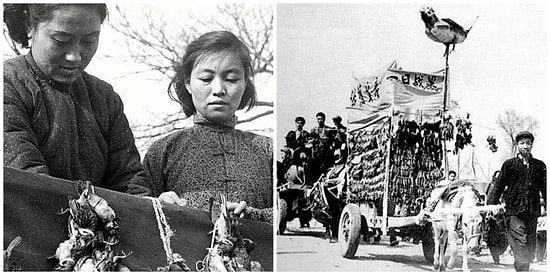 Dünya Tarihinden Çok İlginç Bir Hikaye: "Çin'i Felakete Sürükleyen Serçeler"