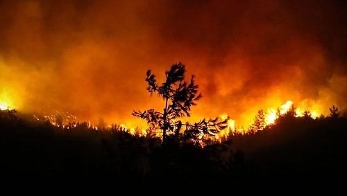 Açtığı Canlı Yayında Ağlayarak Yangın İçin Uçak Yardımı İsteyen Şahan Gökbakar'a Yapılan Akıl Almaz Yorumlar