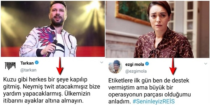 Troll Kullanıcının Yaptığı Montaj Yüzünden Ünlülerin Yangın Desteğiyle İlgili Açıklamaları Sinirleri Bozdu