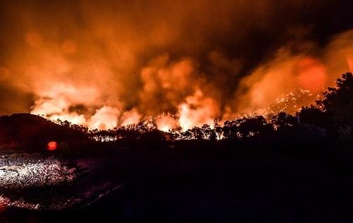 Milas'taki Yangınla Birlikte Hepimizin Aklına Takılan O Soru: Termik Santral Yanarsa Ne Olur?