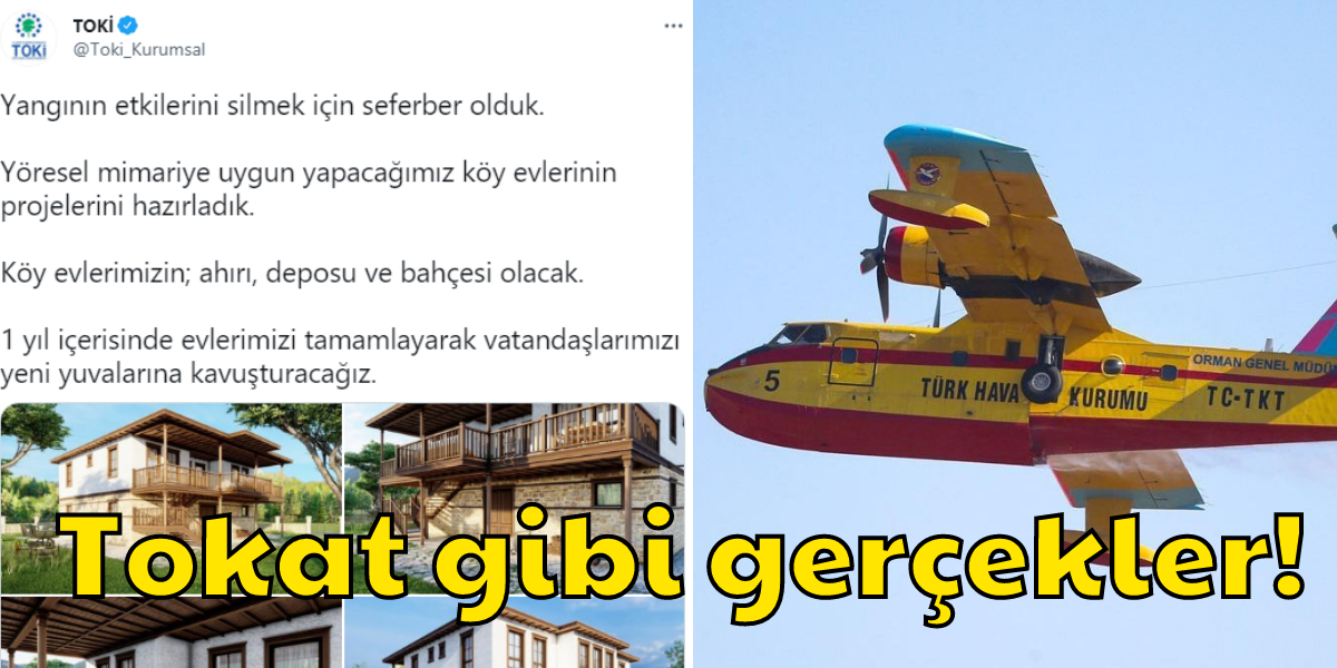 Günlerdir Devam Eden Orman Yangınlarının Neden ve Nasıl Yönetilemediğini Merak Edenler İçin Önemli Detaylar - Vimarsana News