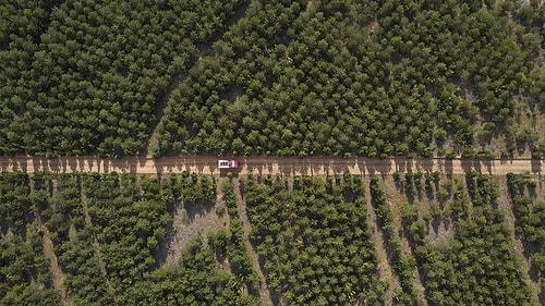Prof. Tolunay Marmara'daki Ormanlar İçin Uyardı