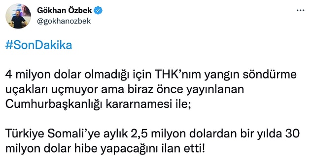 Somali'ye yapılan yardım THK uçaklarının bakım ve onarım masraflarını karşılanmaması üzerinden de eleştirildi.