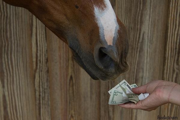 10. "Küçük kızım bir at almak istiyordu. Ben de ona atların para yediğini ve bizim o kadar paramız olmadığını söyledim. 14 yaşına kadar atların para yediğini zannetti."