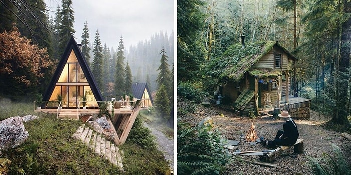 15 самых красивых хижин в лесу, которые идеально подходят для того, чтобы убежать от повседневных проблем