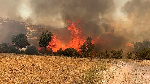 Bildiğiniz üzere ülkemizde günlerdir devam eden ve bir türlü kontrol altına alınamayan yangınlar var.