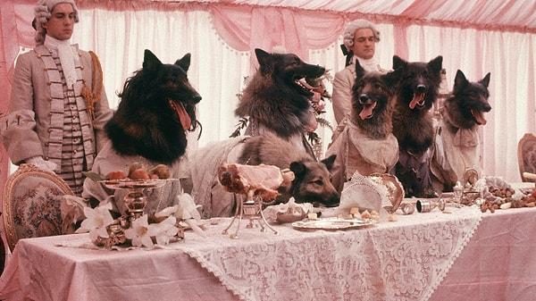 3. The Company of Wolves (1984)