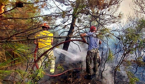 Orman Yangınları İçin Gelen Azerbaycanlı Asker Kardeşlerimize 'Ne İdüğü Belirsiz' Diyen Nüket Eroğlu Gündemde