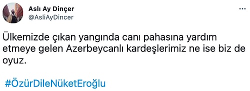 Orman Yangınları İçin Gelen Azerbaycanlı Asker Kardeşlerimize 'Ne İdüğü Belirsiz' Diyen Nüket Eroğlu Gündemde