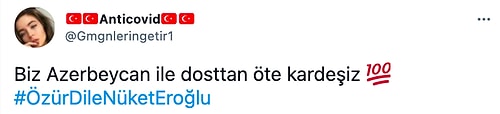 Orman Yangınları İçin Gelen Azerbaycanlı Asker Kardeşlerimize 'Ne İdüğü Belirsiz' Diyen Nüket Eroğlu Gündemde