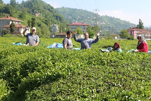 Olağanlaşma Sonrası Karadeniz'de Olaylar Yüzde 400 Arttı