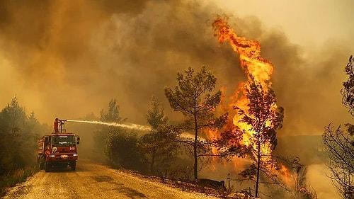 Haluk Levent Orman Yangınlarını Durdurabilmek İsmine Holding Sahiplerine Uçak Kiralamaları İçin Davette Bulundu