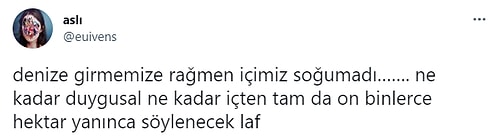 Kenan İmirzalıoğlu'nun Ülkemizdeki Orman Yangınlarıyla İlgili Açıklaması Toplumsal Medyanın Gündeminde!