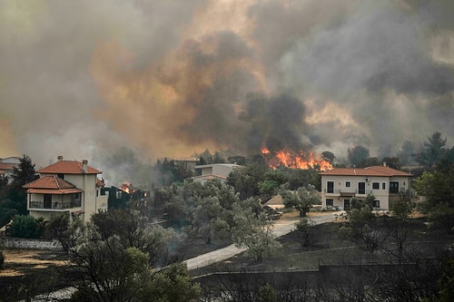 Yunanistan'da Orman Yangınları: Evia Adasından Yüzlerce Kişi Tahliye Edildi