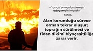 Orman Yangınları Hakkında Muhtemelen Doğru Olduğunu Düşündüğünüz Ancak Son Derece Hatalı Bilgiler