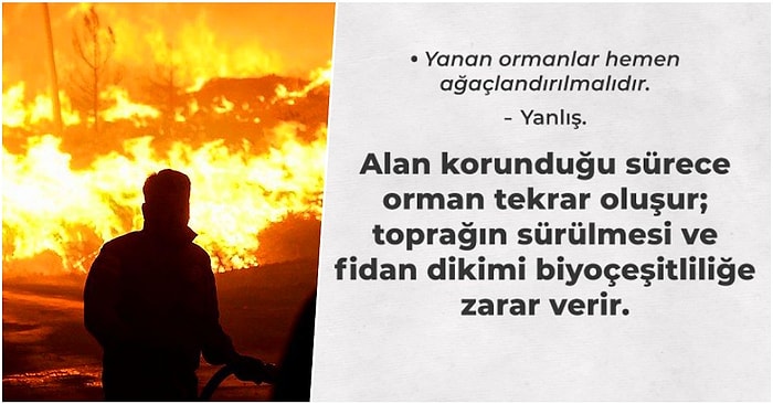 Orman Yangınları Hakkında Muhtemelen Doğru Olduğunu Düşündüğünüz Ancak Son Derece Hatalı Bilgiler