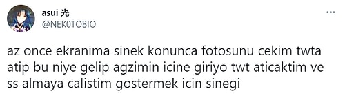 'Ne Kadar Gerizekalısınız?' Sorusuna Twitter Kullanıcılarından Gelen Birbirinden Eğlenceli Yanıtlar