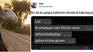 Pandemide Yabani Hayvana Dönenden A101'de Kasiyerlik Yapan Öğretmene Twitter'da Günün Viral Olan Paylaşımları