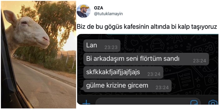 Pandemide Yabani Hayvana Dönenden A101'de Kasiyerlik Yapan Öğretmene Twitter'da Günün Viral Olan Paylaşımları