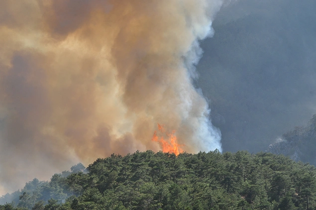 Bakan'ın açıklamasından önce Muğla'nın 5 ayrı bölgesinde yangınlar devam ediyordu. 👇
