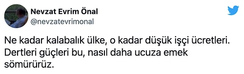 İstanbul Vilayet Sıhhat Müdürü'nün 'Lütfen En Az 3 Çocuk Yapalım' Açıklamasına Yansılar