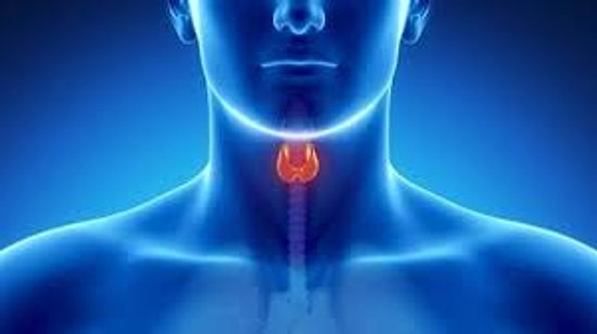Tiroid Nedir? Yüksekliği ve Düşüklüğü Ne Anlama Gelir? TSH Değerleri Kaç Olmalıdır?