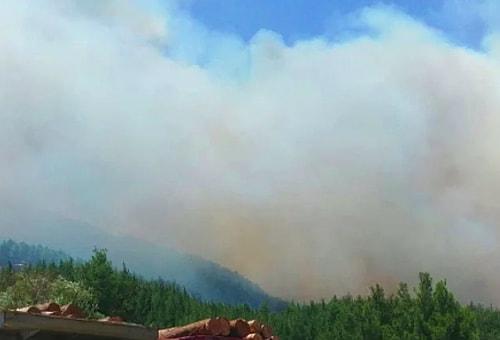 Burdur'da Orman Yangını Başladı: Rüzgar Alevleri Süratle Yayıyor