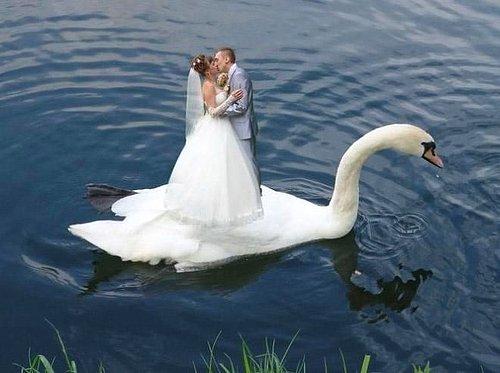 Bir Photoshop Faciası: Birbirinden Garip 20 Düğün Fotoğrafı