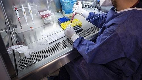 Bilim Heyeti Üyesi Açıkladı: Varyantlar PCR Testlerinden Kaçabiliyor mu?