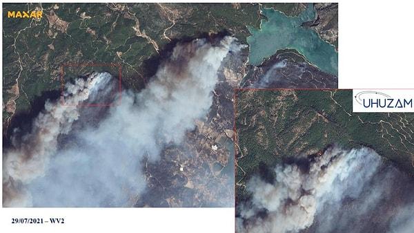 "Orman yangınları en fazla Manavgat ve Muğla'ya zarar verdi"