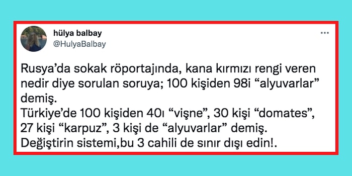 Kedisine Serpme Kahvaltı Hazırlayan Abiden Lazer Tavsiyesine Son 24 Saatin Viral Olan Paylaşımları