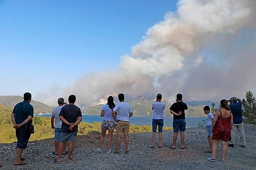 Son Devirdeki Orman Yangınları Türkiye'nin Bir Yıllık Emisyon Muvaffakiyetini Sildi