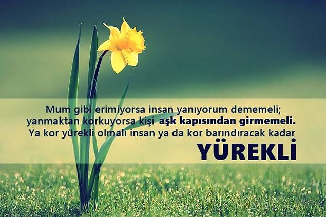 15. Bunun gibi sözler paylaşıldığını gördüğün zaman üstüne alınma. Hayatta bizden daha önemli şeyler var.