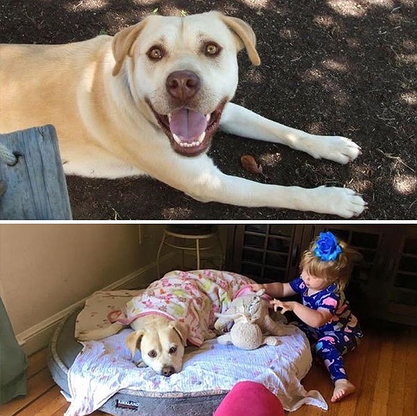 5. Он не подписывался на такое