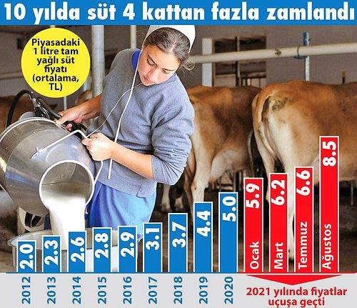 Sütün Fiyatı Uçtu, Peynirin Kilosu 80 Liraya Dayandı: Bir Damla Süt Olmayan Peynir Piyasada...