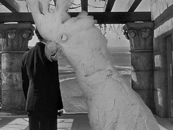48. 'Citizen Kane' filminde bir sahne, bir kakadunun ani giriş ve çığlığı ile kesiliyor. Arkasındaki sembolizm yıllar boyu konuşulsa da, Orson Welles bunu uyuyan seyircileri uyandırmak için yaptığını söyledi.