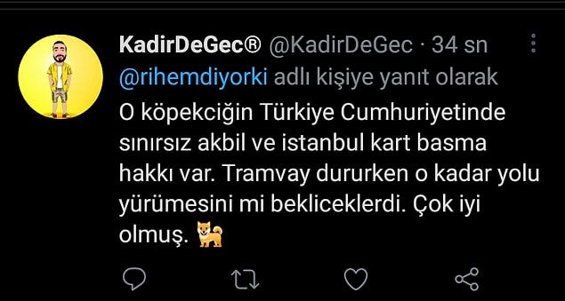 Gezgin köpekle ilgili çok tatlı yorumlar var ama galiba en haklısı buydu 🤗