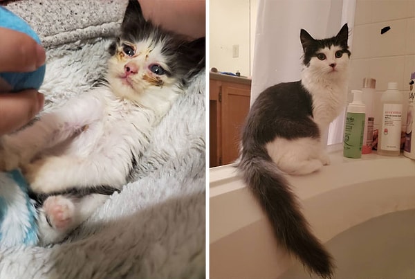 13. Когда-то она умещалась в мою лодонь