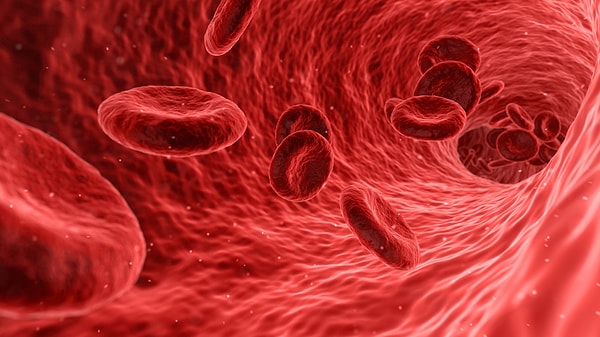 Hemoglobin maddesinin vücutta oluşan çürüklerle bağlantısı nedir?
