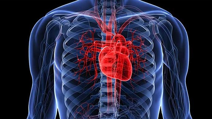 Kalpte Delik Olması Ne Demektir? Belirtileri Nelerdir?