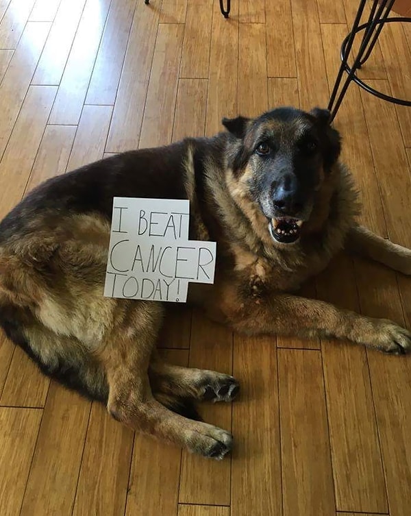 3. Он поборол рак. Какой хороший мальчик