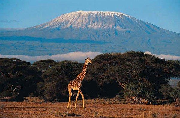 Tanzanya, Afrika kıtasının zirvesi olan Kilimanjaro Dağı'na ev sahipliği yapar. Bu dağ, 5.800 metreye tırmanmak isteyen doğa yürüyüşçüleri ve dağcılar arasında oldukça popülerdir.