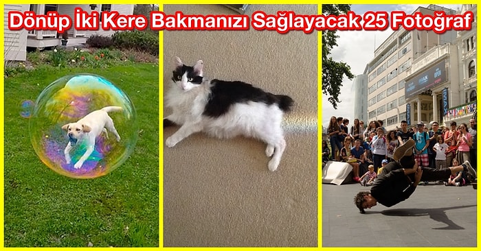 Dönüp İki Kere Bakmanızı Sağlayacak Mükemmel Zamanlanmış 25 Fotoğraf