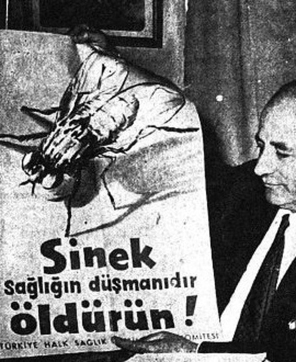 Gittikçe kötüleşen durum karşısında İstanbul Belediye Başkanı, problemi çözmek amacıyla çalışanlarıyla bir toplantı düzenledi. Bir çift sineğin 40 günde ortalama 40 bin sinek ürettiği bilindiğine göre bu durumdan kurtulmak imkansız gibiydi.